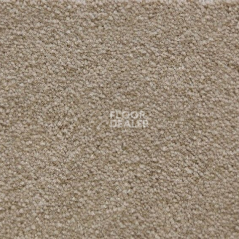 Ковролин Radici Lord Cardamomo 327E фото 1 | FLOORDEALER